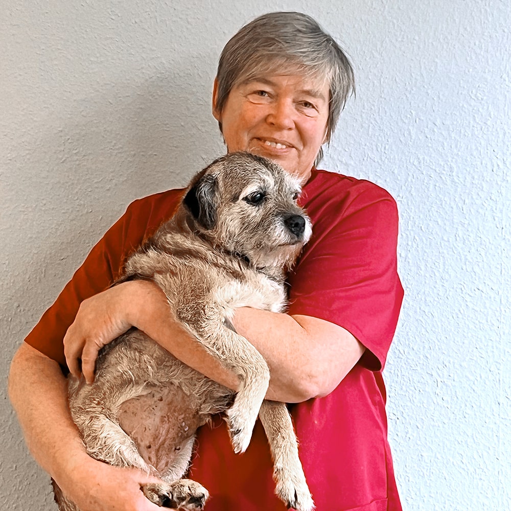 Michaele Kollmeyer - Praktische Tierärztin Michaele Kollmeyer